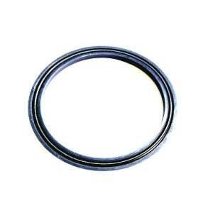 0029709 gaxeta 53,00 x 63,00 x 004,3 pu 310